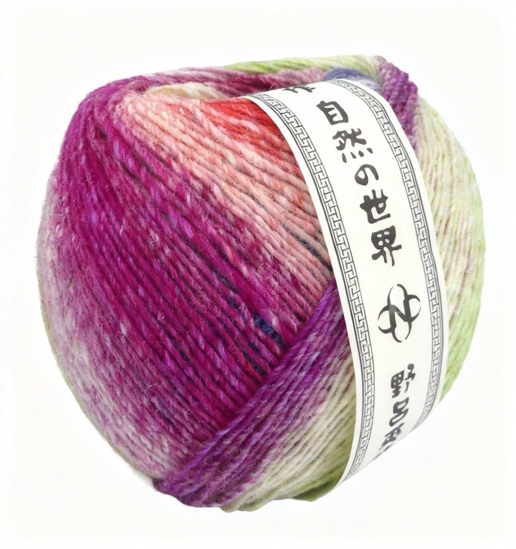 Noro Koma
