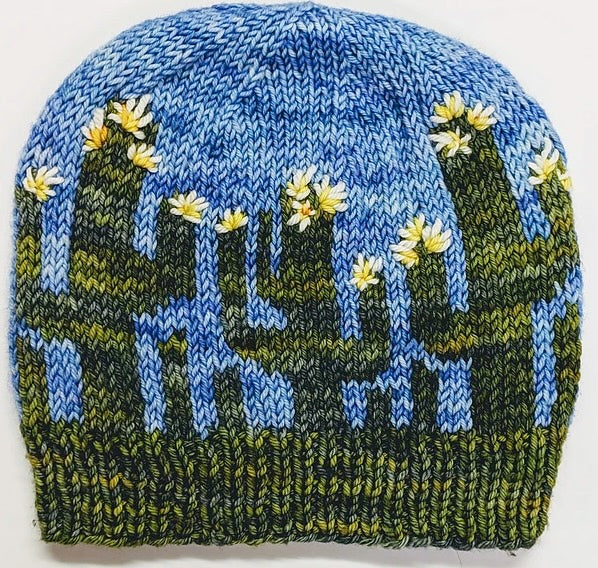 National Parks Hat Kit
